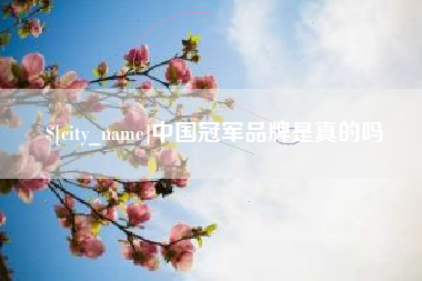 诸城中国冠军品牌是真的吗