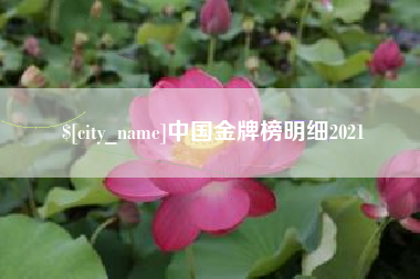 诸城中国金牌榜明细2021