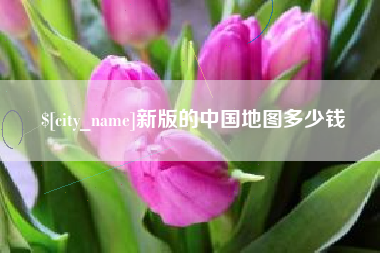 诸城新版的中国地图多少钱