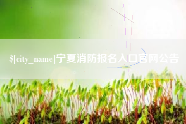 诸城宁夏消防报名入口官网公告