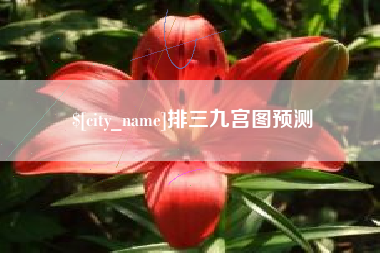 诸城排三九宫图预测