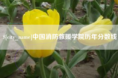 诸城中国消防救援学院历年分数线