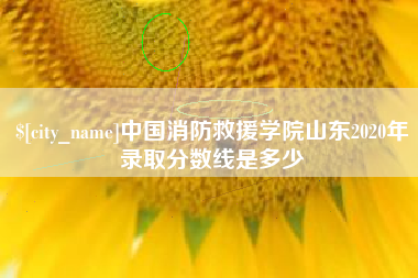 诸城中国消防救援学院山东2020年录取分数线是多少