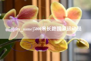 诸城5000米长跑国家运动员