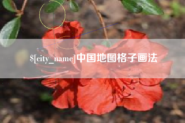 诸城中国地图格子画法