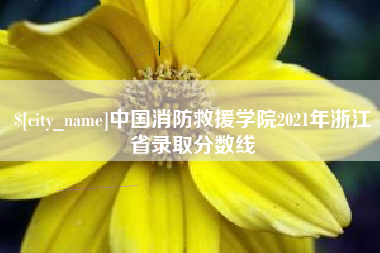 诸城中国消防救援学院2021年浙江省录取分数线