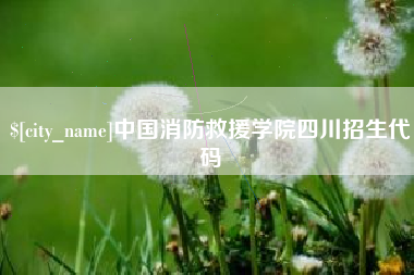 诸城中国消防救援学院四川招生代码