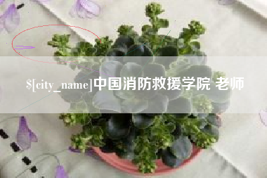 诸城中国消防救援学院 老师