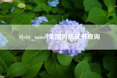 诸城全国消防证书查询