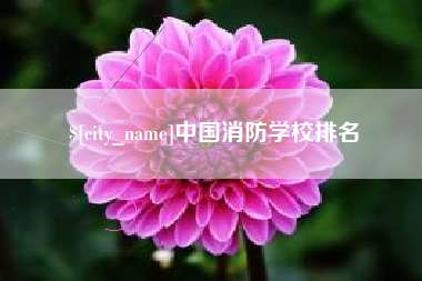 诸城中国消防学校排名