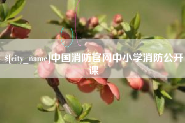 诸城中国消防官网中小学消防公开课