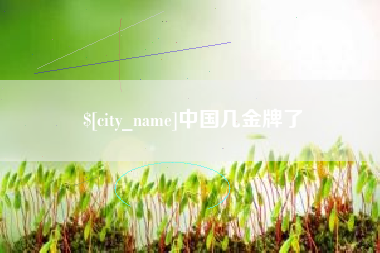 诸城中国几金牌了