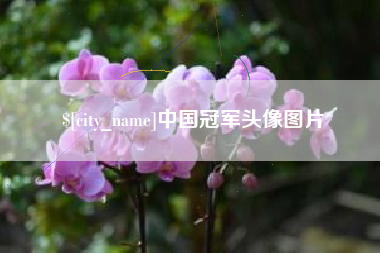 诸城中国冠军头像图片