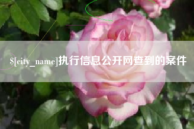诸城执行信息公开网查到的案件