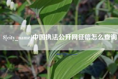 诸城中国执法公开网征信怎么查询