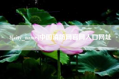 诸城中国消防网官网入口网址