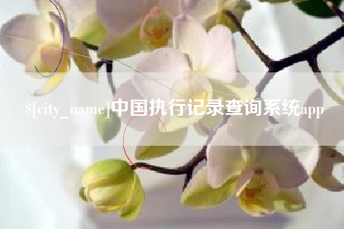 诸城中国执行记录查询系统app