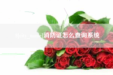 诸城消防证怎么查询系统