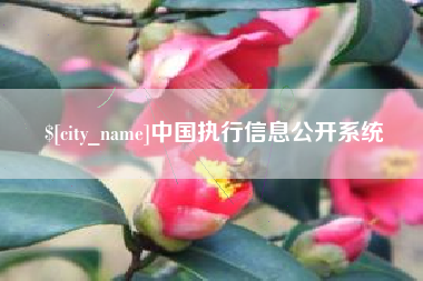 诸城中国执行信息公开系统