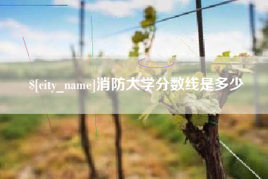 诸城消防大学分数线是多少