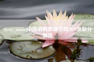诸城中国消防救援学院2019录取分数线