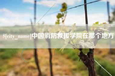 诸城中国消防救援学院在那个地方