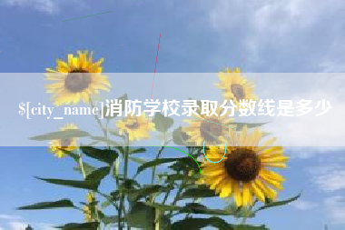 诸城消防学校录取分数线是多少