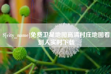 诸城免费卫星地图高清村庄地图看到人实时下载