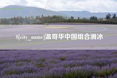 诸城温哥华中国组合滑冰