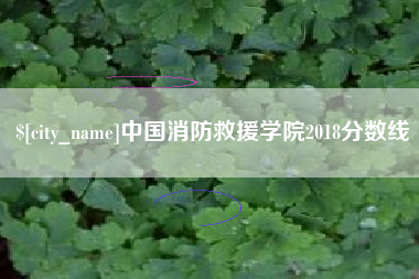 诸城中国消防救援学院2018分数线
