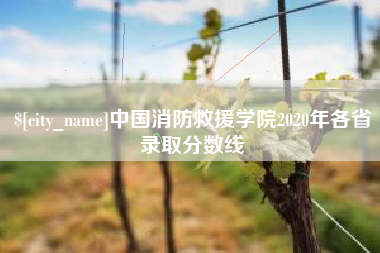诸城中国消防救援学院2020年各省录取分数线