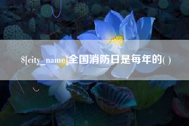 诸城全国消防日是每年的( )