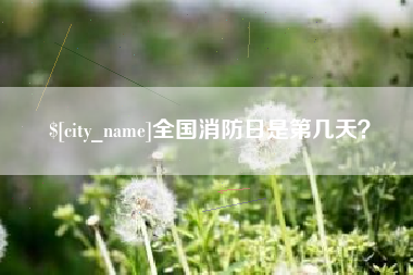 诸城全国消防日是第几天？