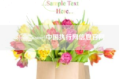 诸城中国执行网信息官网