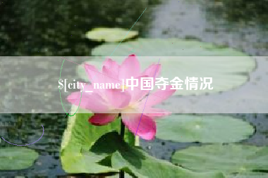 诸城中国夺金情况