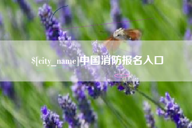 诸城中国消防报名入口