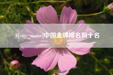 诸城中国金牌排名前十名