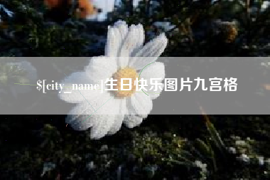 诸城生日快乐图片九宫格