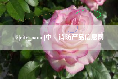 诸城中囯消防产品信息网