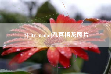 诸城九宫格龙图片