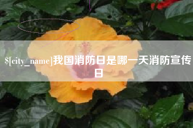 诸城我国消防日是哪一天消防宣传日