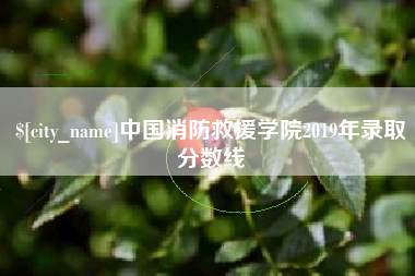 诸城中国消防救援学院2019年录取分数线