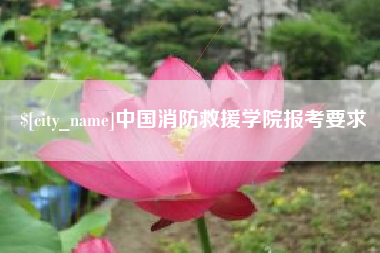 诸城中国消防救援学院报考要求