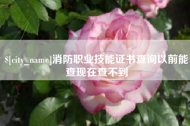 诸城消防职业技能证书查询以前能查现在查不到