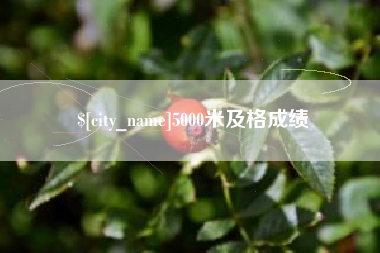 诸城5000米及格成绩
