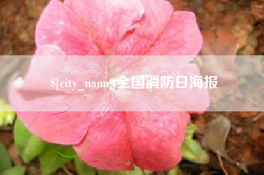 诸城全国消防日海报