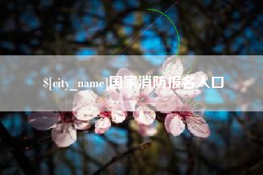 诸城国家消防报名入口