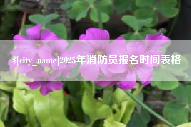 诸城2025年消防员报名时间表格