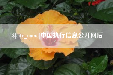 诸城中国执行信息公开网后