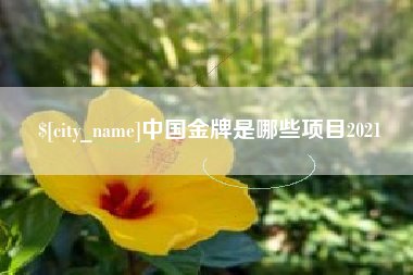 诸城中国金牌是哪些项目2021